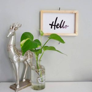 Poster Typography Mini